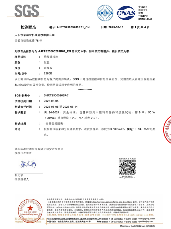 Vertical combustion report (Chinese version)